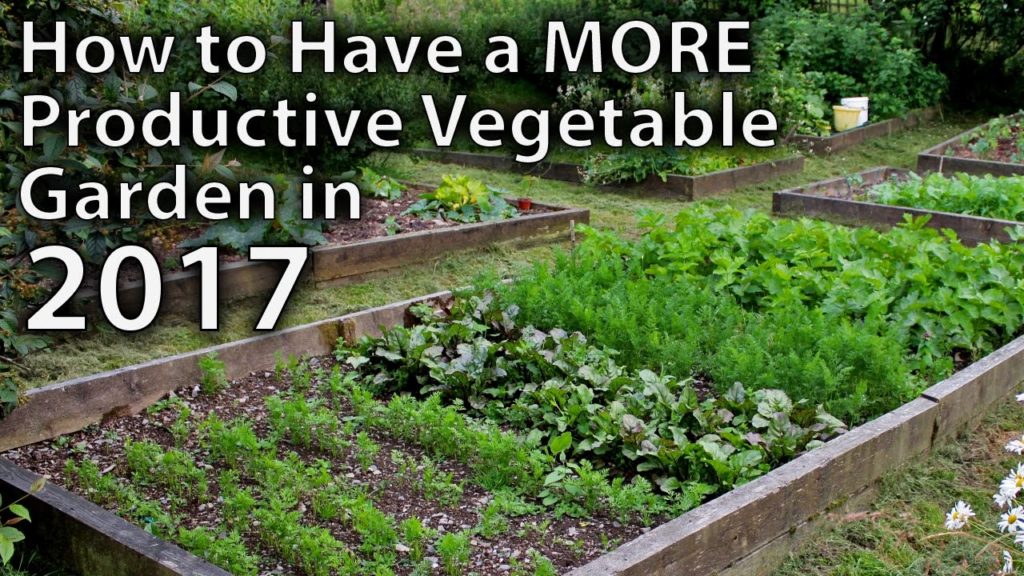 Huw Richards: 10 Ways to Make your Vegetable Garden More Productive in 2017…and Beyond! 10 Ways to Make your Vegetable Garden More Productive in 2017...and Beyond!
