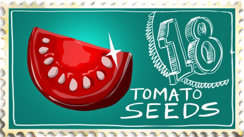 How to Save Tomato Seeds - Suburban Homestead EP18