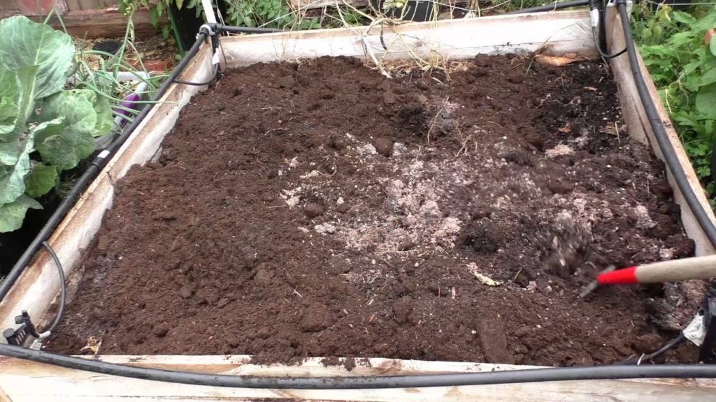 Preparing & maintaining soil for raised beds