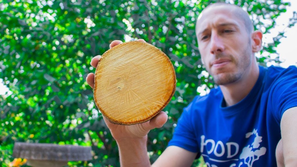 James Prigioni: I wish someone told me This when I first started my Food Forest Garden I wish someone told me This when I first started my Food Forest Garden