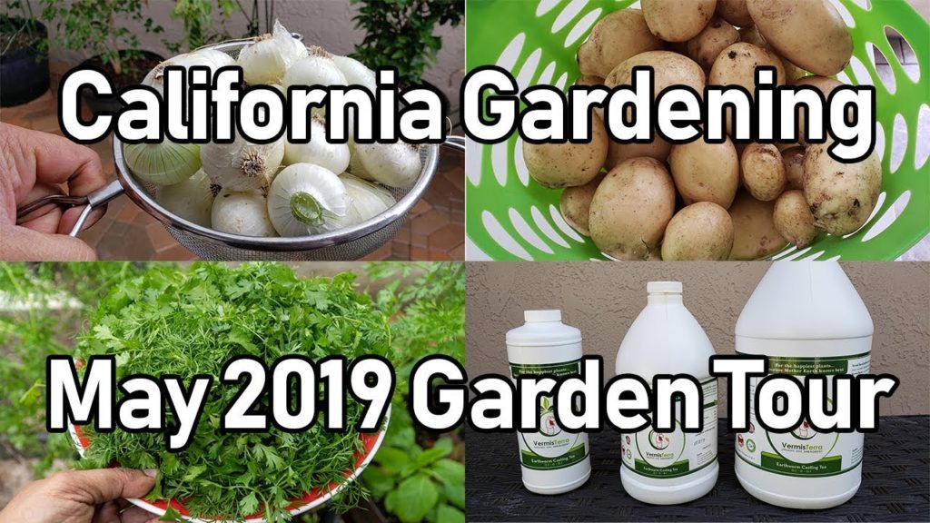 California Gardening Garden Tour - May 2019   Organic Gardening Tips & Advice
