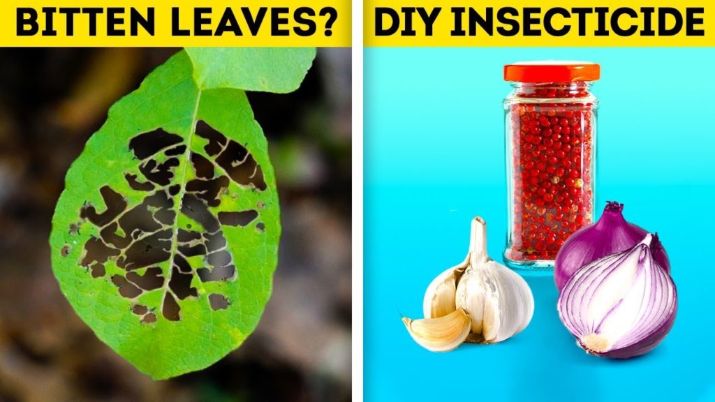 25 CLEVER HACKS TO IMPROVE YOUR GARDENING SKILLS 25 CLEVER HACKS TO IMPROVE YOUR GARDENING SKILLS