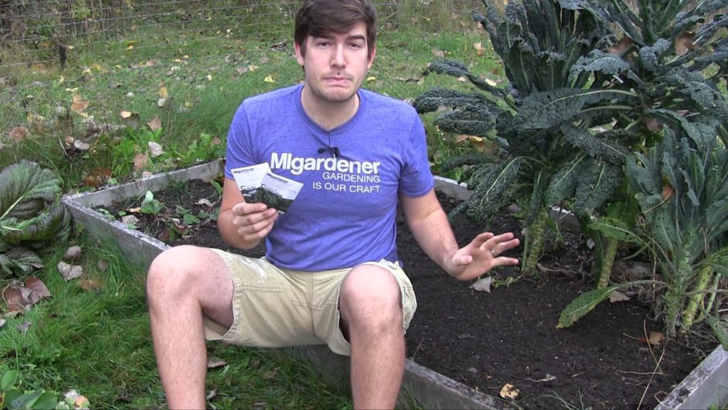 MIgardener: Cover crops! What is best, How to Plant, When to plant Cover crops! What is best, How to Plant, When to plant