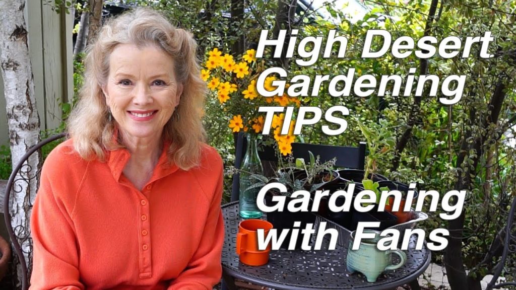 HIGH DESERT GARDENING TIPS | Wood Chips | Urban Gardening with Fans Part 1 | Vlog