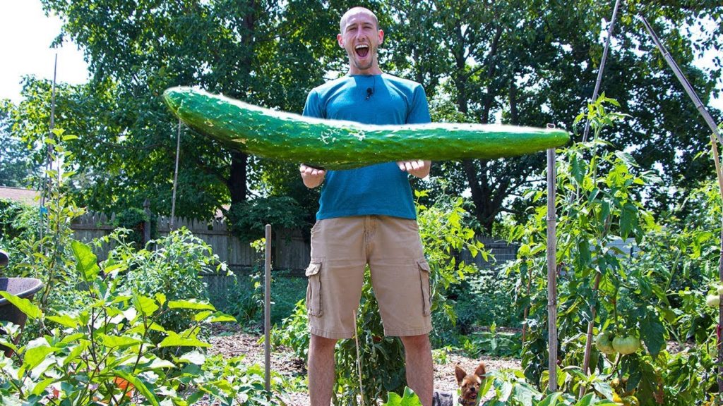 BIGGER Garden HARVESTS with LESS WORK