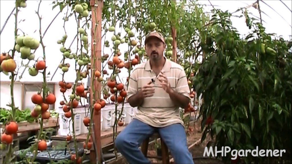 Sowing Seeds By Giving and Sharing