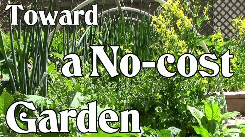 Toward a No-cost Garden: Grow Your Own Food for Next to Nothing (Frugal Gardening)