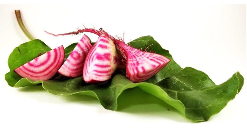 Harvesting Beets: When, How, and Tips for Storing Beets