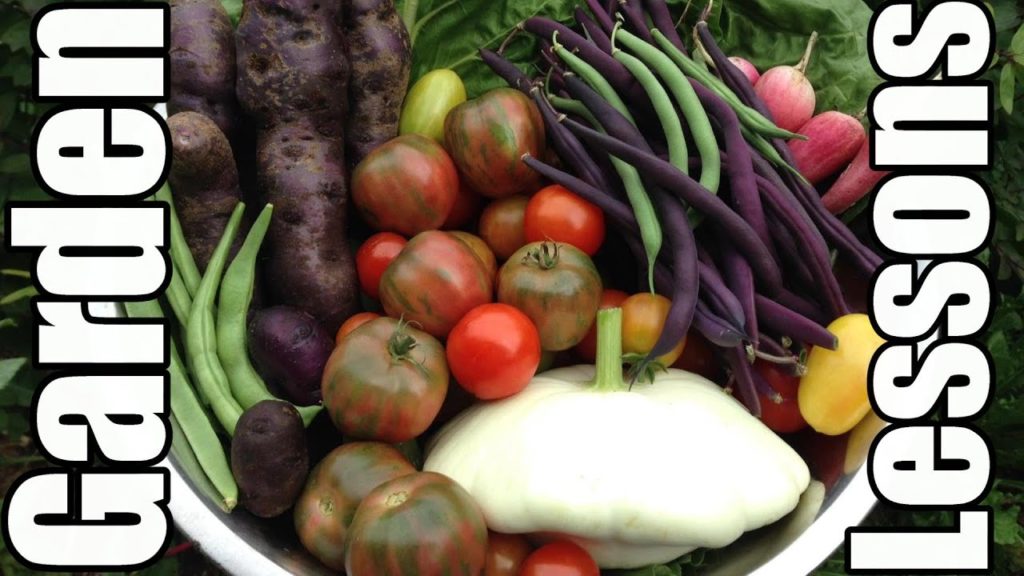 One Yard Revolution: What We Learned from the Garden: Crops & Strategies that Worked & Didn't Work What We Learned from the Garden: Crops & Strategies that Worked & Didn't Work