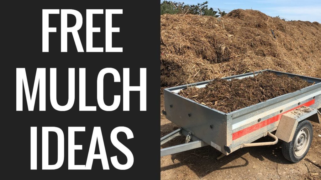 Epic Gardening: 7 Cheap (Or Free) Mulch Sources and How To Use Them In Your Garden 7 Cheap (Or Free) Mulch Sources and How To Use Them In Your Garden