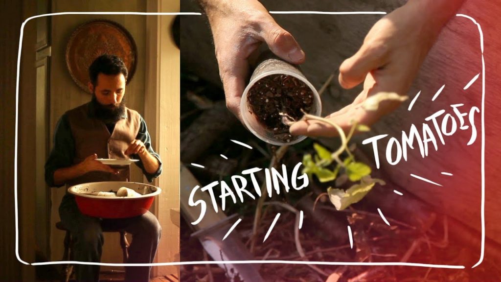 Siloé Oliveira: How To Grow Tomatoes – Complete Guide – Starting Seeds Part 1 How To Grow Tomatoes - Complete Guide - Starting Seeds Part 1