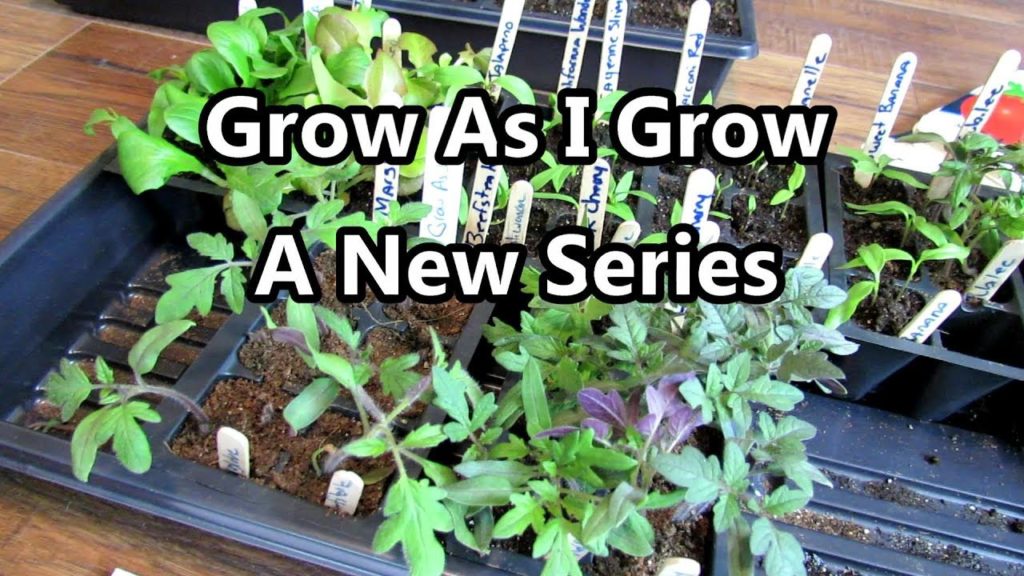 My New Vegetable Gardening Series: Grow As I Grow - A Quick Series Introduction