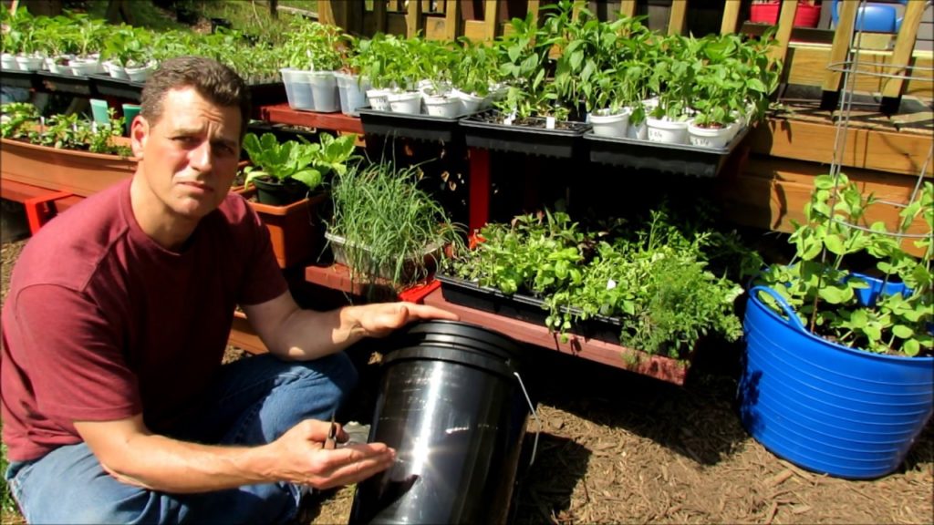Gary Pilarchik: Setting Up a 5 Gallon Container for Gardening: Line It/Food Safe, Drainage Hole & Reservoir Setting Up a 5 Gallon Container for Gardening: Line It/Food Safe, Drainage Hole & Reservoir