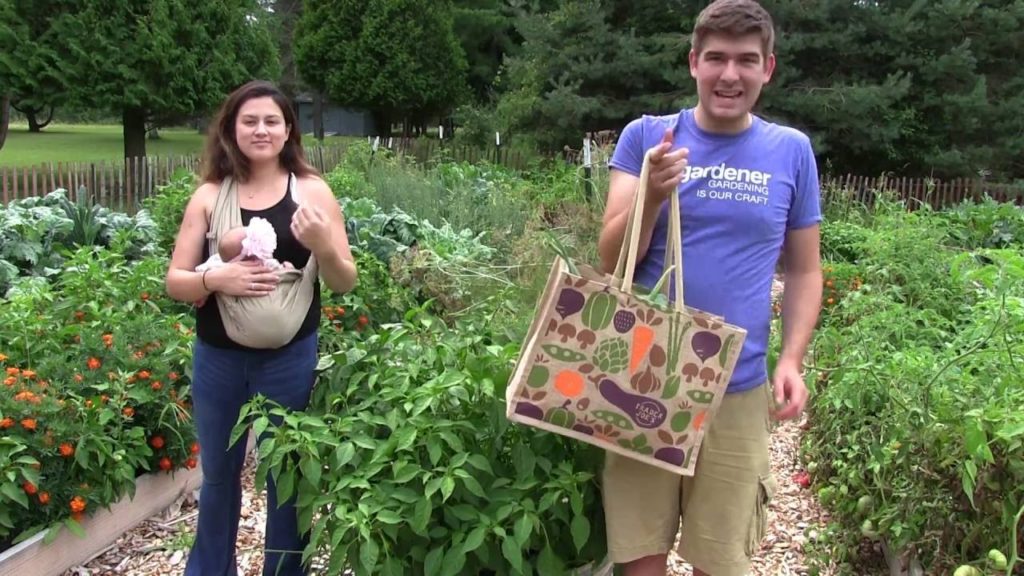 Grow Your Own Living Produce Aisle and Save Thousands of Dollars!