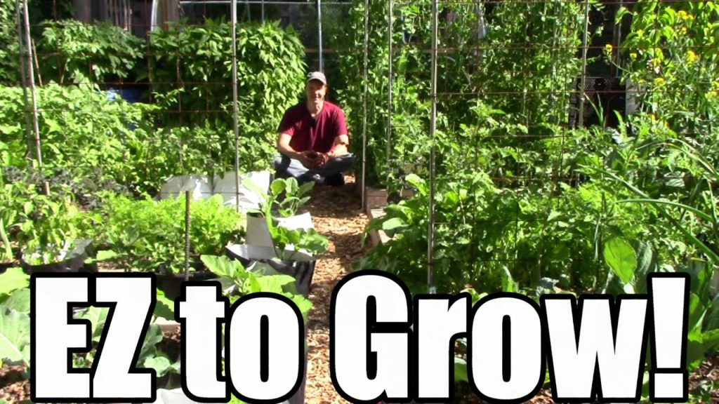 10 Low Maintenance Crops: Grow More, Work Less, & Spend Less
