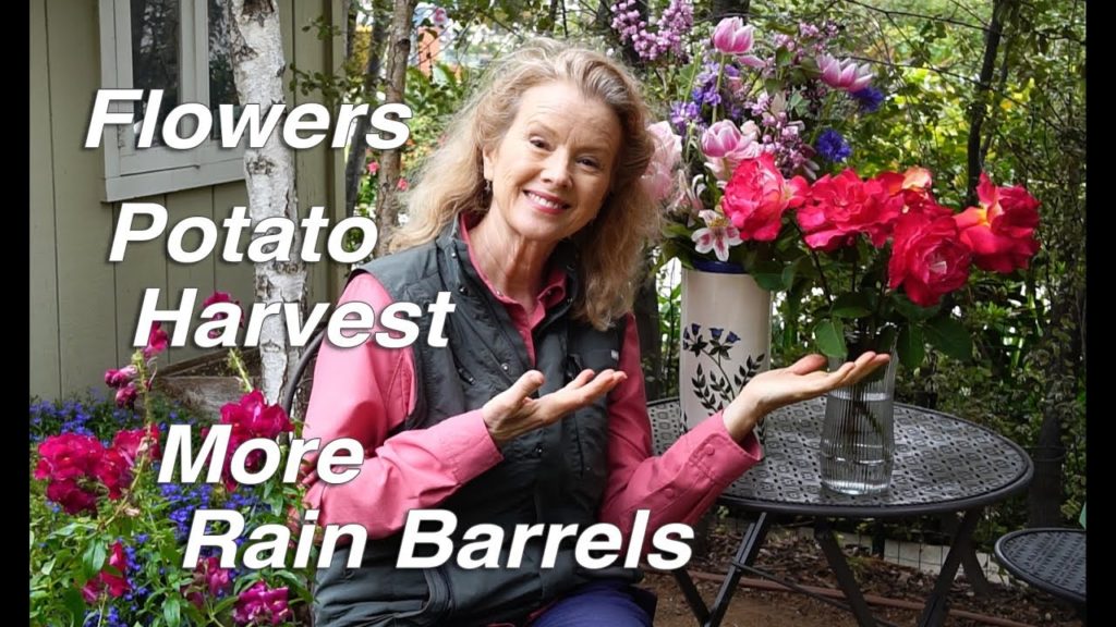 Rain Barrels | Perfect FRIED EGG | Garden Workday | Vlog