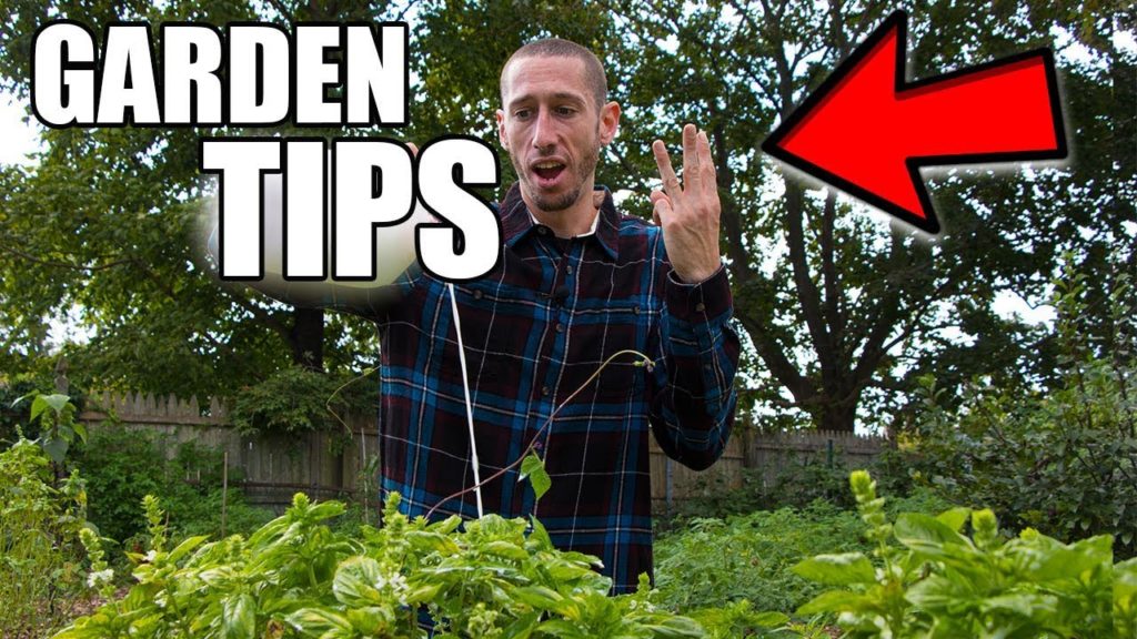 James Prigioni: The 3 Most IMPORTANT Garden Tips You NEED TO GROW The 3 Most IMPORTANT Garden Tips You NEED TO GROW