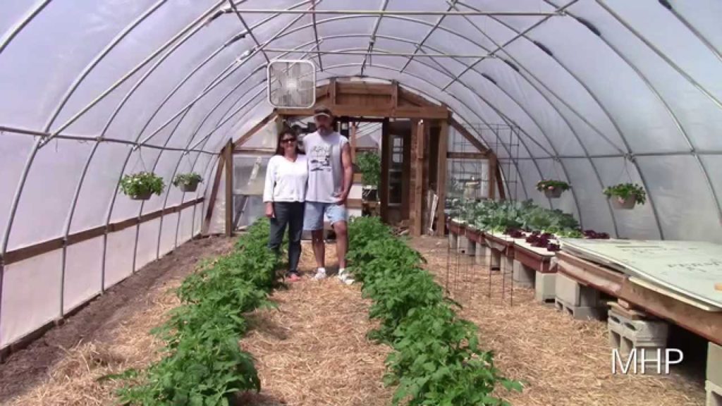 Super Italian Paste Tomato Update