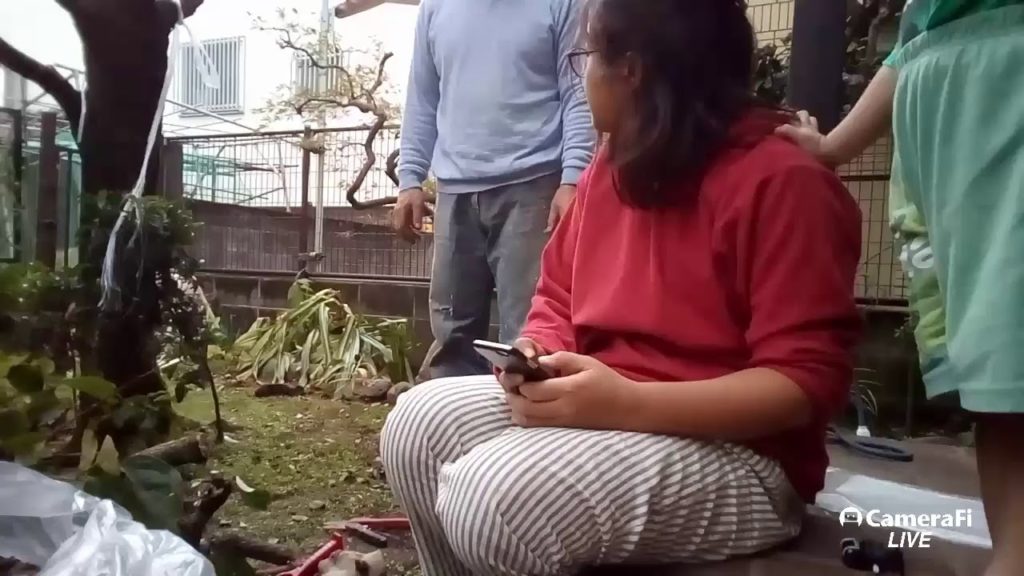 Gardening Live, take 2