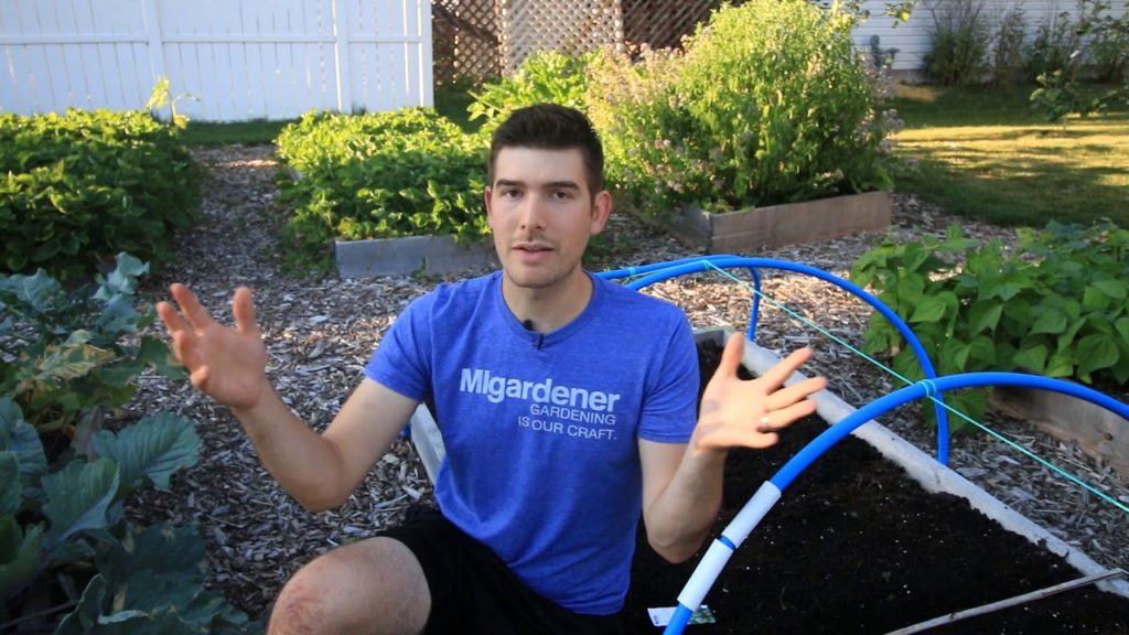 Basics to Planting A Fall Garden - Fall is The New Spring!