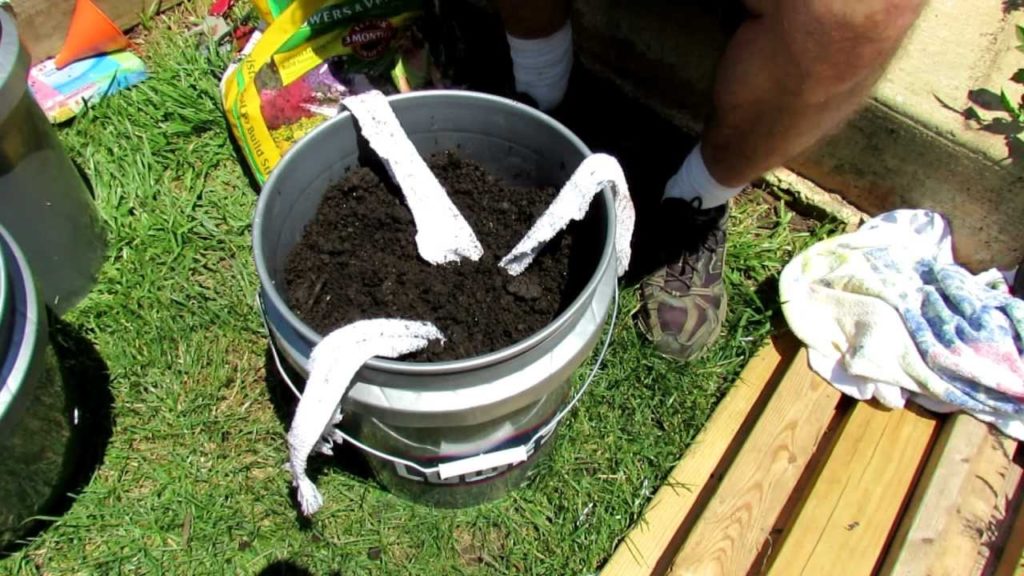 TRG 2012:  2 of 2: Filling & Planting the Self Wicking Tomato Watering Container