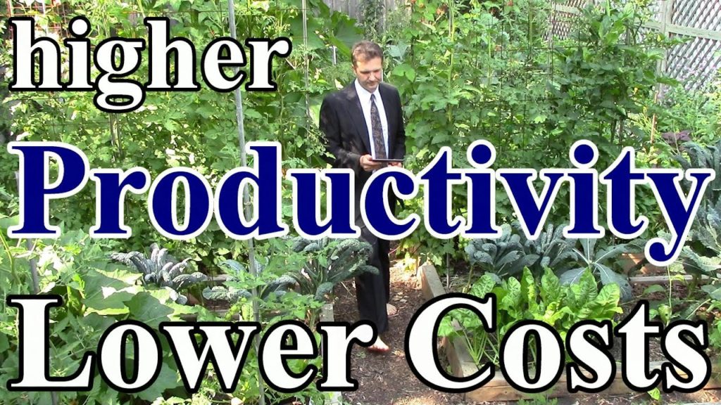 Do-Nothing Gardening = Higher Productivity & Lower Costs