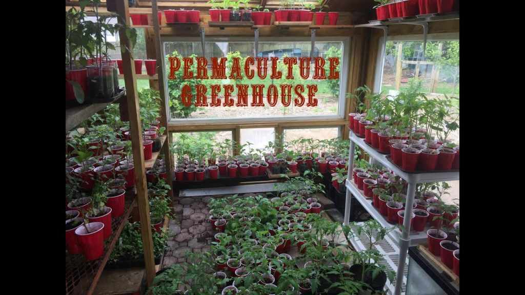 Permaculture Greenhouse