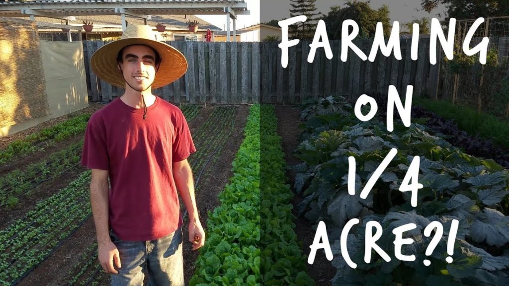 Quitting Your Job To Farm on a Quarter Acre In Your Backyard?