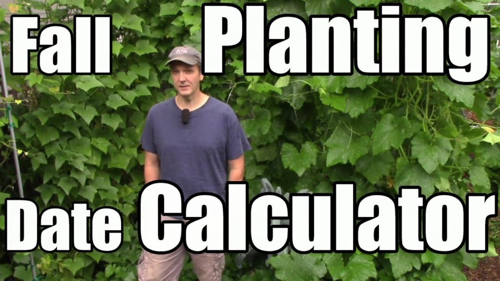 Fall/Winter Planting Date Tools & What We’re Planting Now in Zone 5