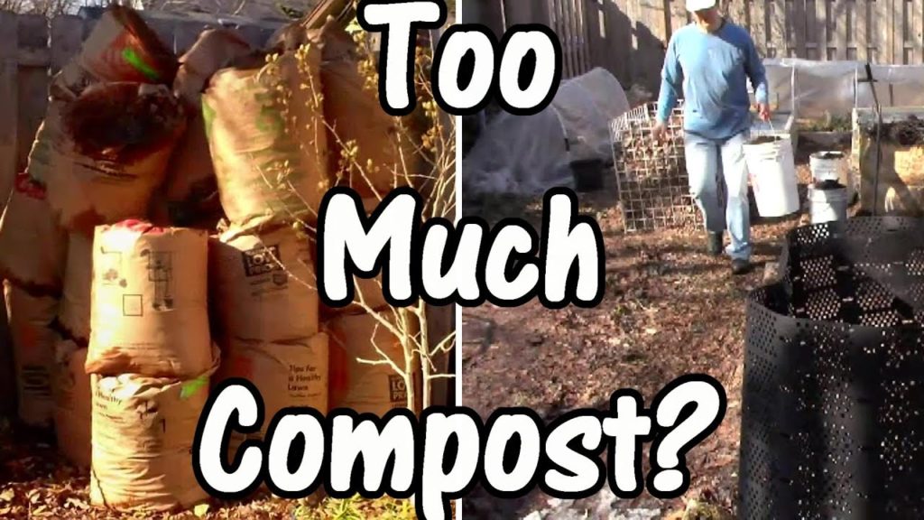 One Yard Revolution: Am I Using Too Much Compost and Mulch? Am I Using Too Much Compost and Mulch?