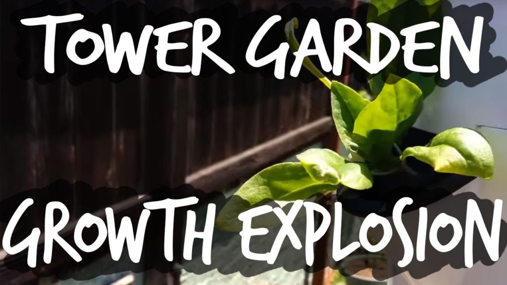 Epic Gardening: Tower Garden Insane Plant Growth Tower Garden Insane Plant Growth