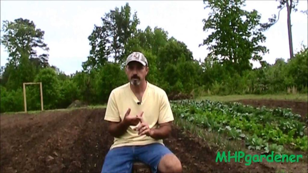 mhpgardener: Using Hydroponic Fertilizers : Questions and Concerns Using Hydroponic Fertilizers : Questions and Concerns