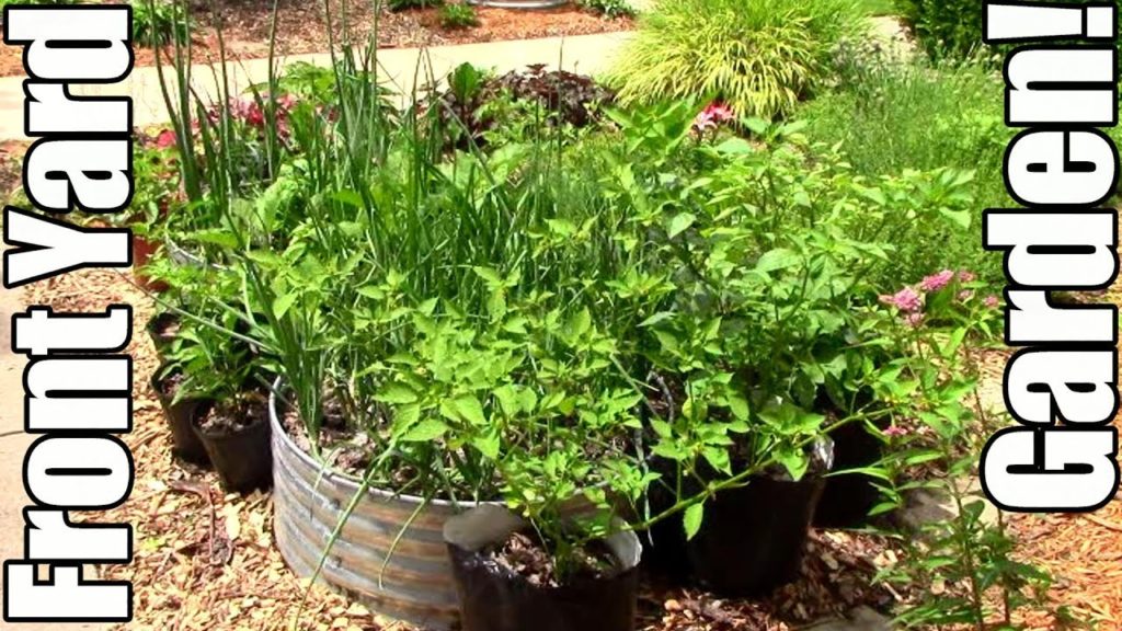 Front Yard Vegetable Garden Tour! (Food Not Lawns)