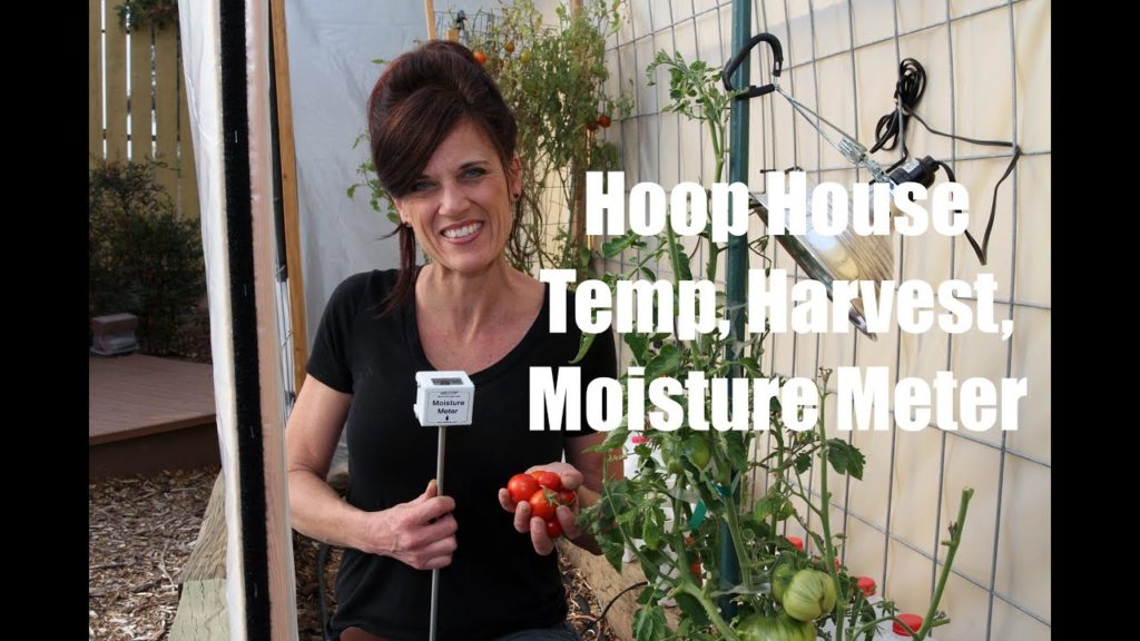 Hoop House Temp, Harvest and Moisture Meter