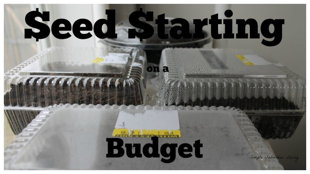 Starting Seeds on a Budget – Stop buying gardening supplies this year Starting Seeds on a Budget - Stop buying gardening supplies this year