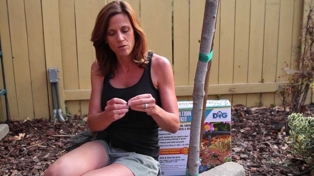 CaliKim: Simple Drip Irrigation-Mistakes and Cool Drip Stuff Simple Drip Irrigation-Mistakes and Cool Drip Stuff