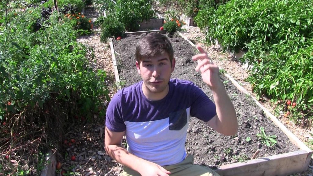 5 Gardening Myths Worth Forgetting Forever 5 Gardening Myths Worth Forgetting Forever