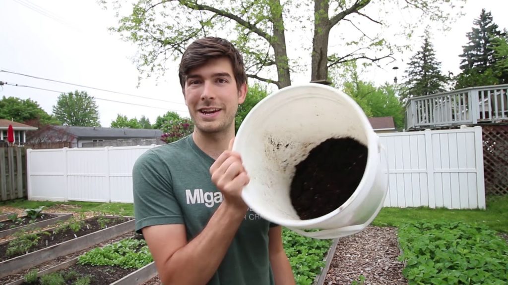 How We Make Tea Our Plants Can Drink
