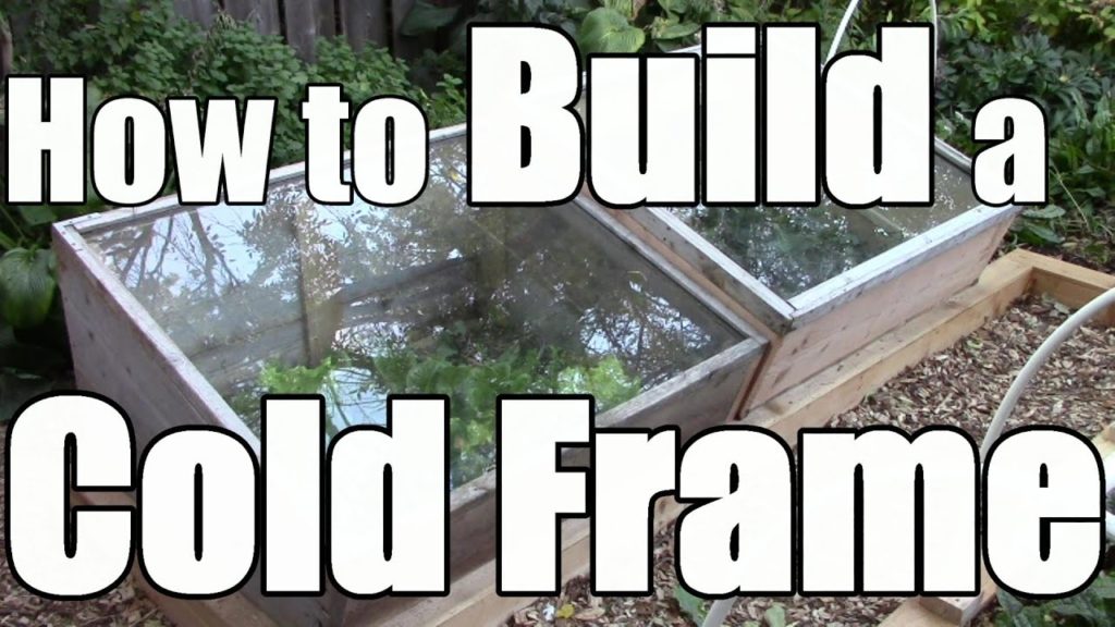 How to Build a Cold Frame to Extend Your Growing Season