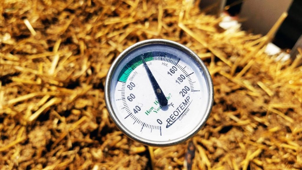 Epic Gardening: Straw Bale Gardening: Conditioning Days 1-12 & Planting Potatoes! Straw Bale Gardening: Conditioning Days 1-12 & Planting Potatoes!