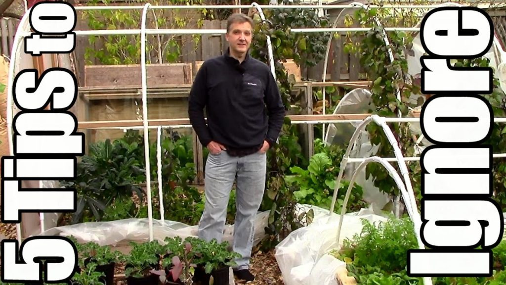 One Yard Revolution: Popular Gardening Tips You Can Probably Ignore (Epsom Salts, Mycorrhizae, Compost Accelerators) Popular Gardening Tips You Can Probably Ignore (Epsom Salts, Mycorrhizae, Compost Accelerators)