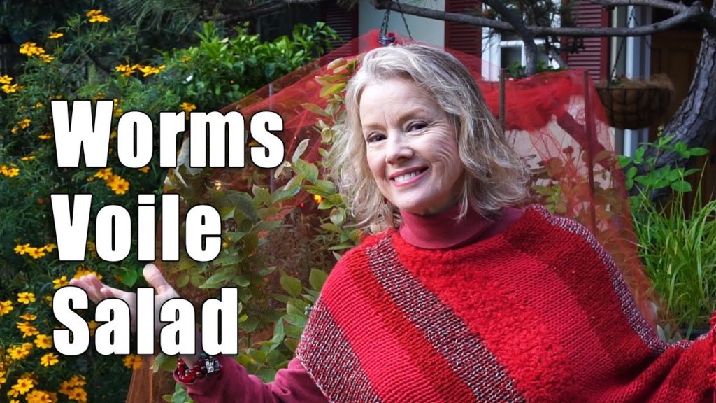 Thursday Garden Workday | Pruning, Potting, Planting | Los Angeles