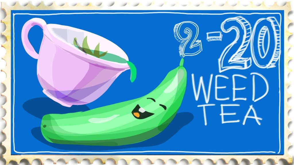 Weed Tea for Cucumbers - Best Kept Garden Secret?