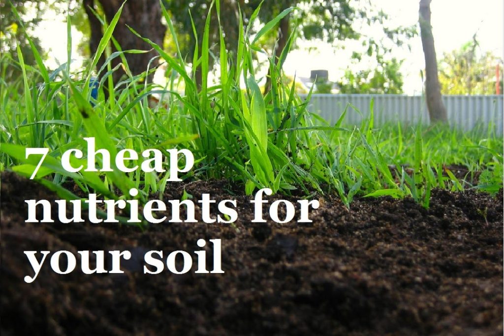 Huw Richards: 7 Super Cheap ways to add Nutrients to your Soil 7 Super Cheap ways to add Nutrients to your Soil