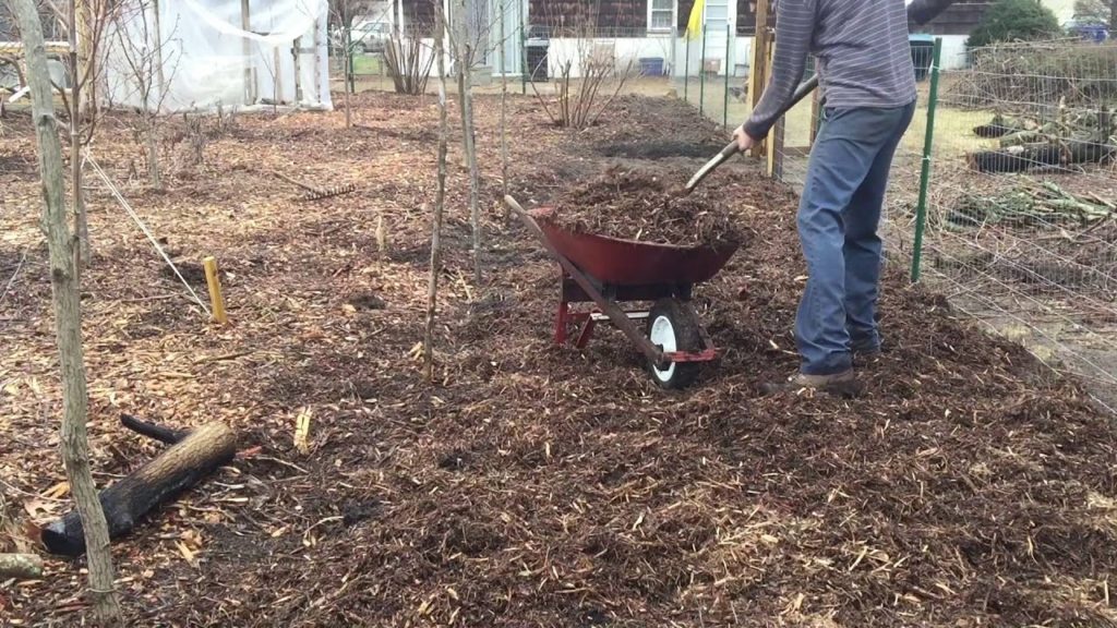 James Prigioni: Late Winter Update Late Winter Update