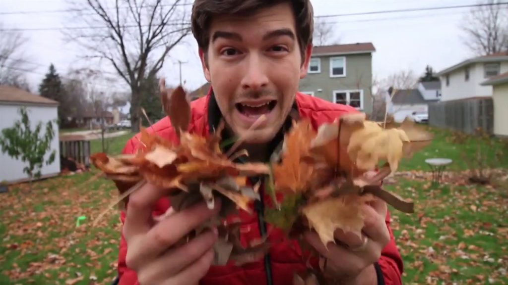 MIgardener: 5 Benefits of Leaf Mulch & How to Create it 5 Benefits of Leaf Mulch & How to Create it