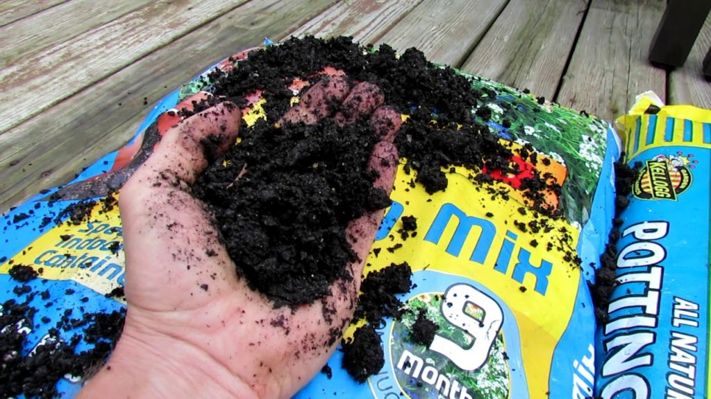 Gary Pilarchik: Understanding Bagged Garden Soil Products: What They Are & My Container Mix Recipe Understanding Bagged Garden Soil Products: What They Are & My Container Mix Recipe