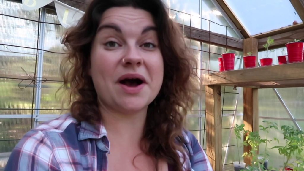 A Surprise in the Greenhouse