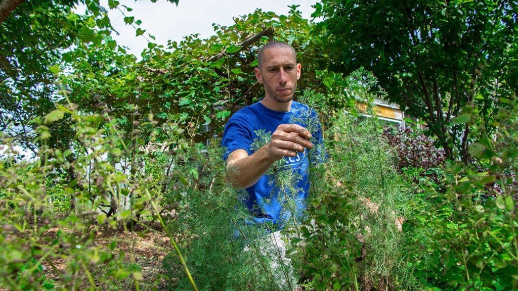 5 Garden TIPS You Can Do RIGHT NOW