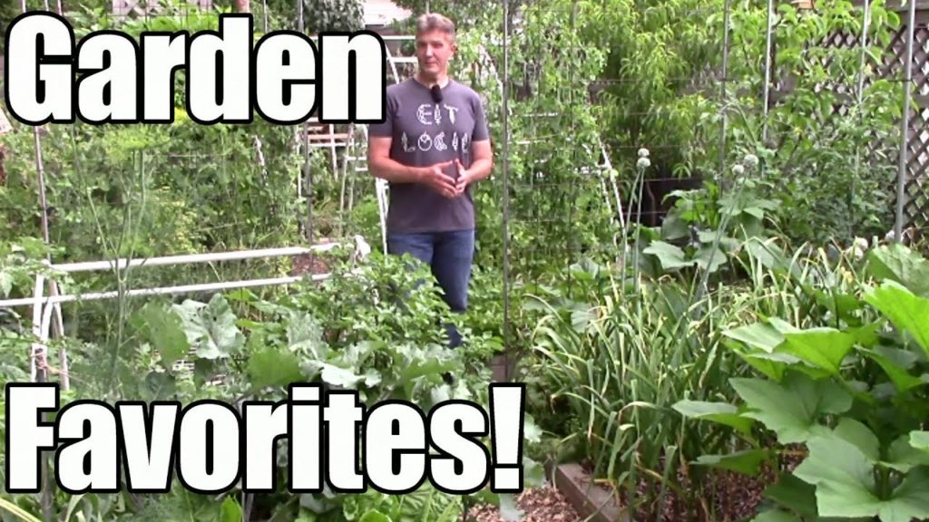 11 of My Favorite Crop Varieties!